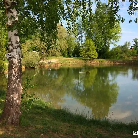 La Pépite Rose D'europapark