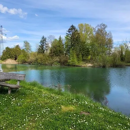 La Pepite Rose D'europapark * Boofzheim